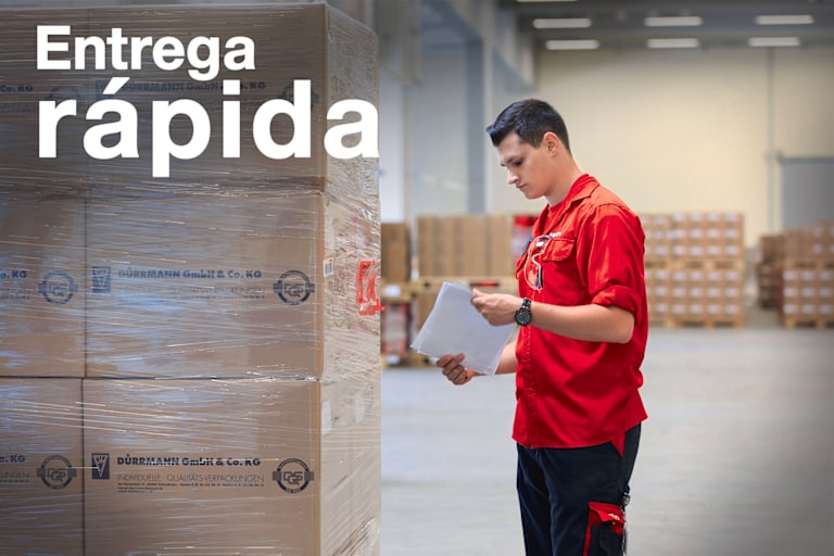 Text: "Entrega rápida"