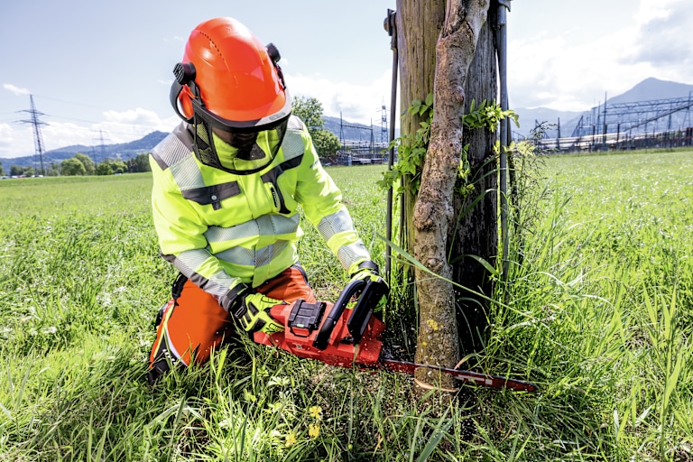 Cordless Chainsaw- Common Applications