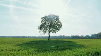 GREEN BUILDING E FIRESTOP: I PRODOTTI PER COMPARTIMENTAZIONI ANTINCENDIO E LA CERTIFICAZIONE LEED